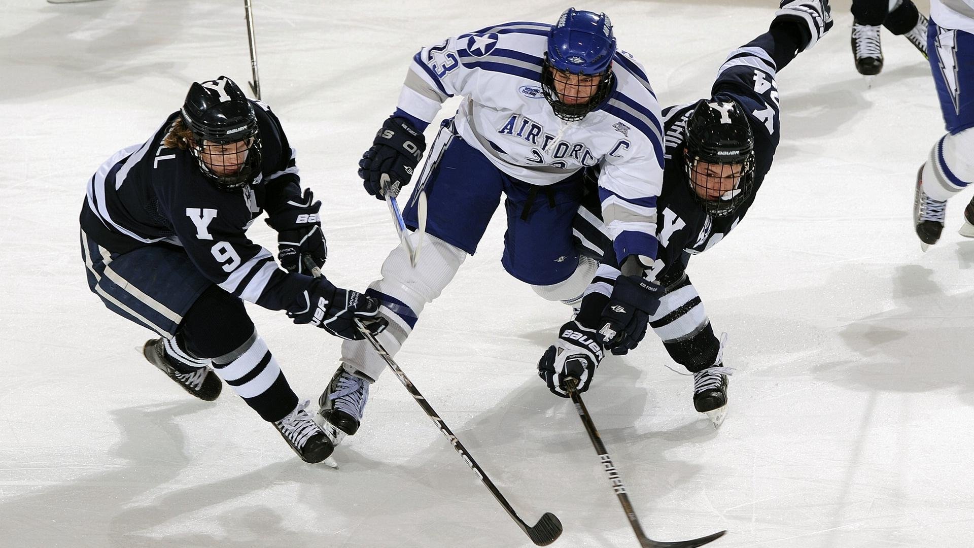 _科学运动训练：个性化方案新突破_，科学锻炼方案要素